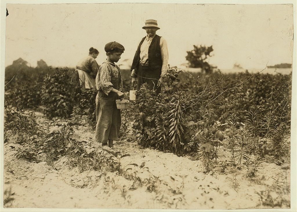A young boy holding a berry carrier stands in a field beside a man in a straw hat.
